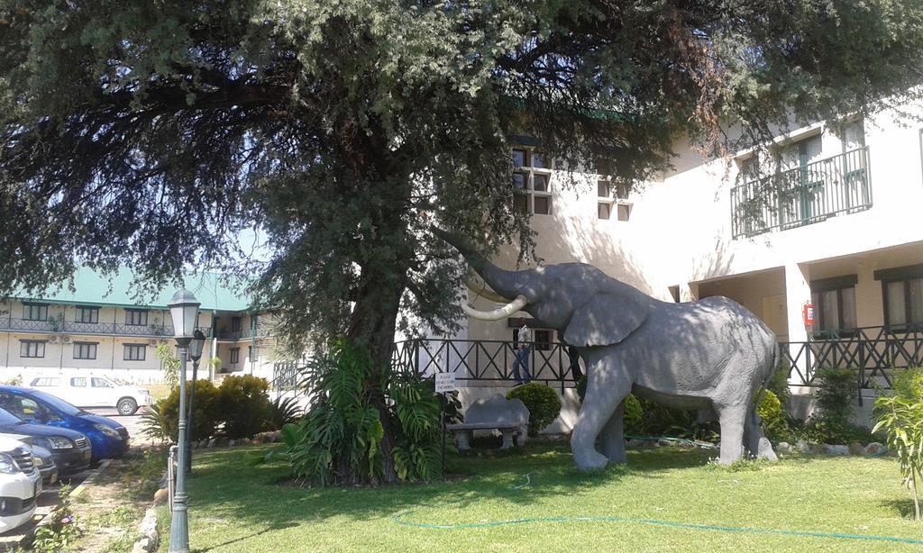 Maun Lodge Pokój zdjęcie