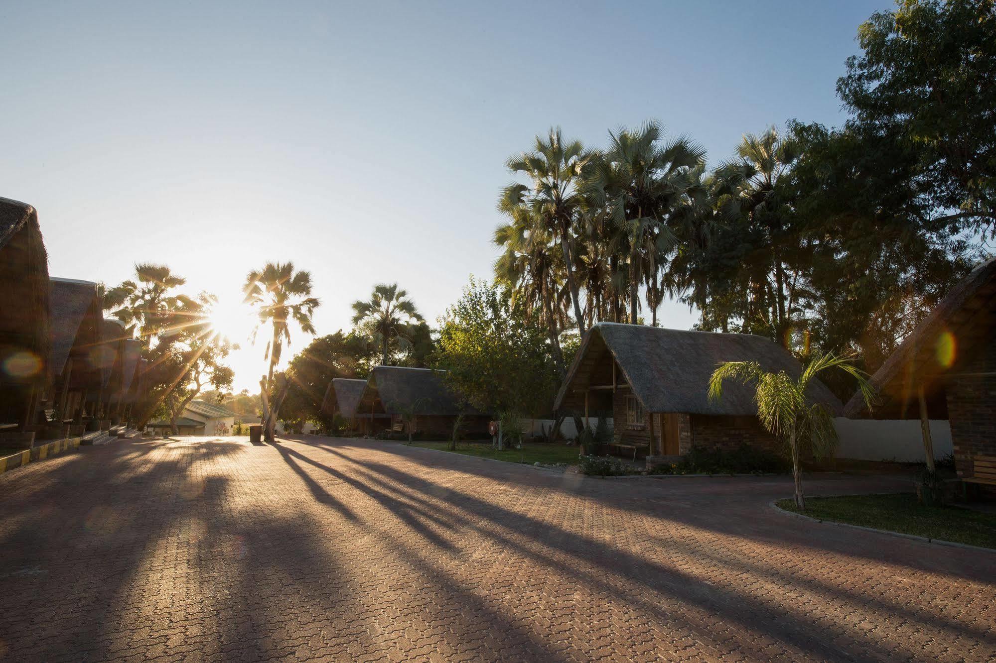 Maun Lodge Zewnętrze zdjęcie